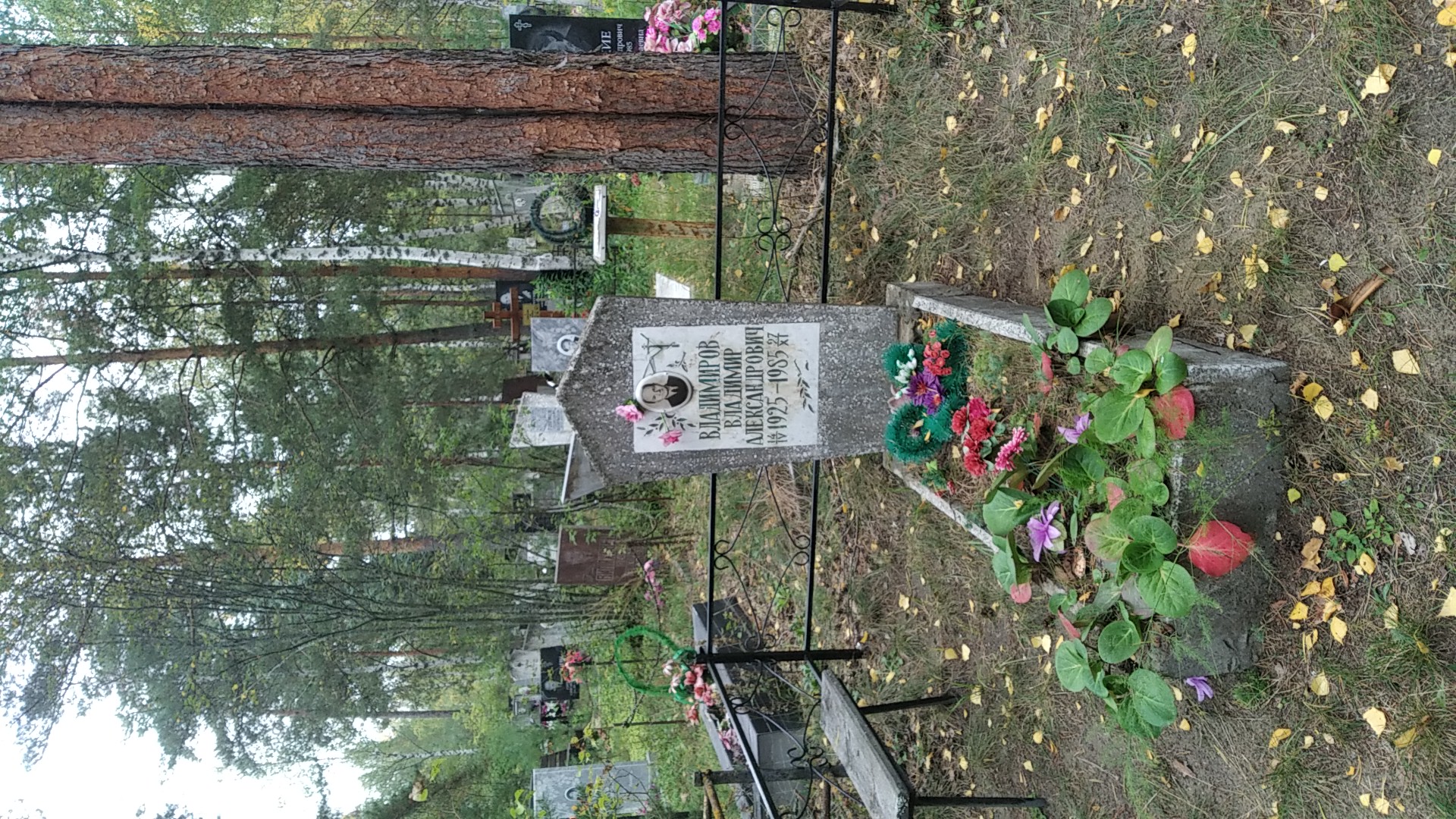 Владимиров Владимир Александрович