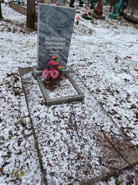 Белоусова Аполинарья Сергеевна