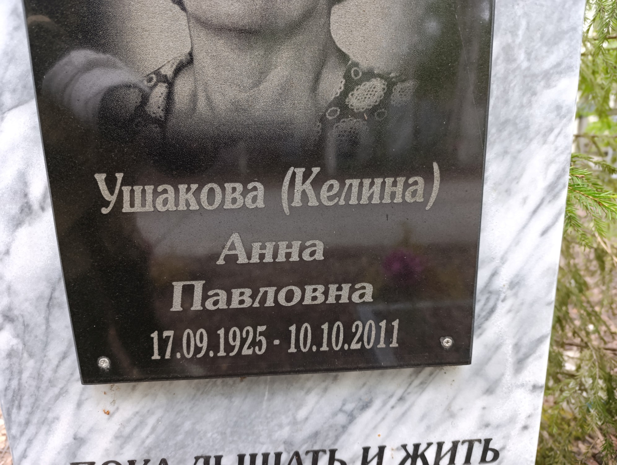 УшаковаКелина Анна Павловна