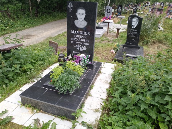 Мамонов Дмитрий Михайлович