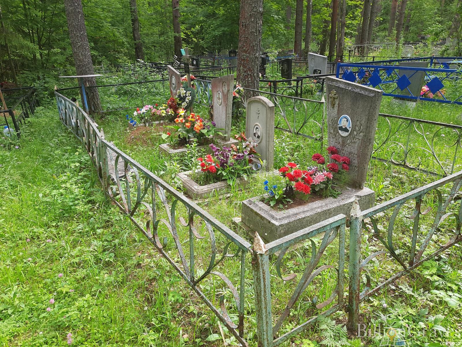 Мавричева Анастасия Михайловна