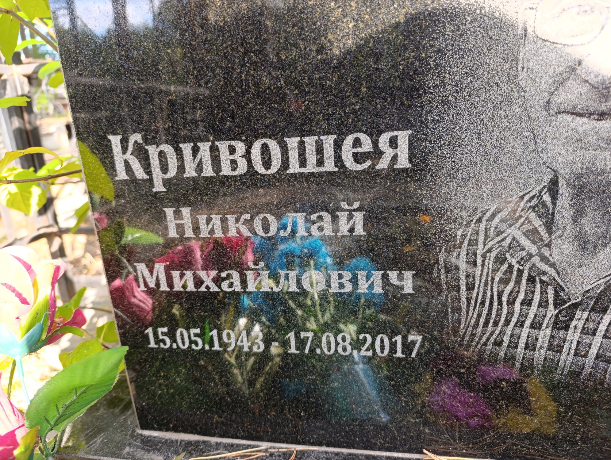 Кривошея Николай Михайлович