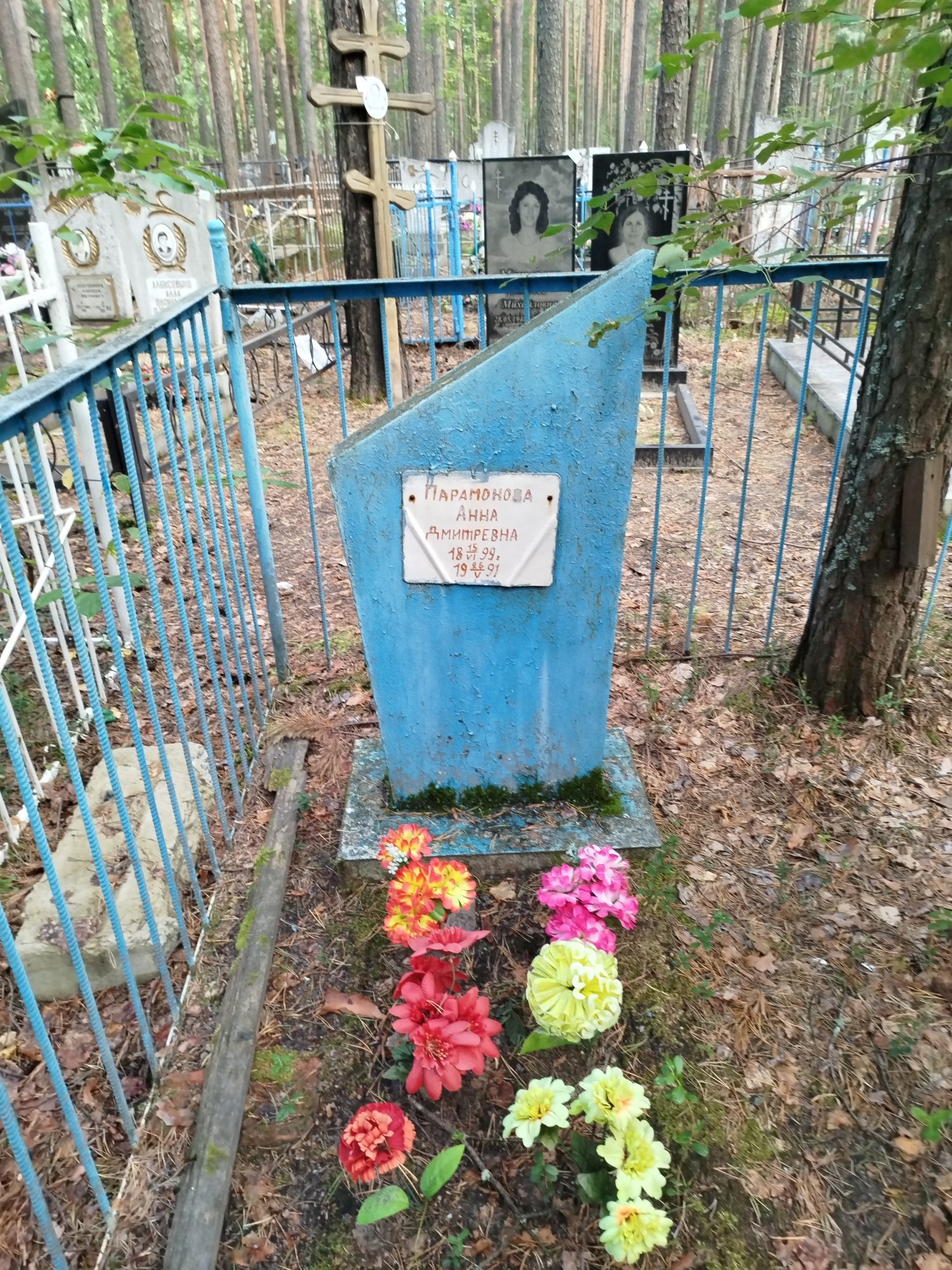 Парамонова Анна Дмитриевна