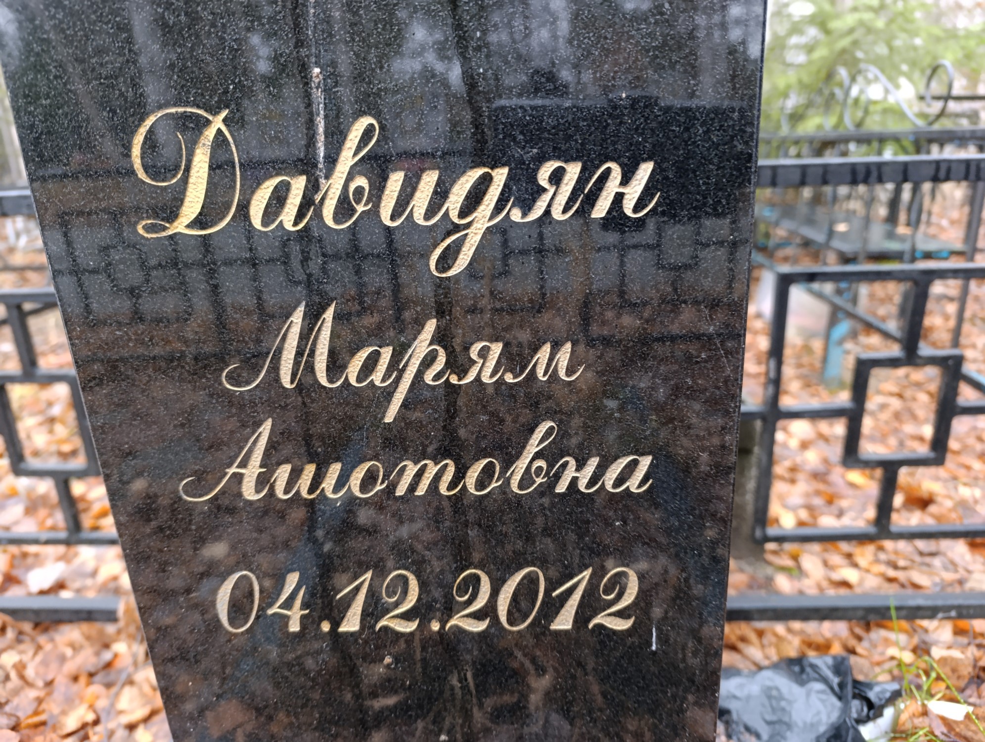 Давидян Марям Ашотовна