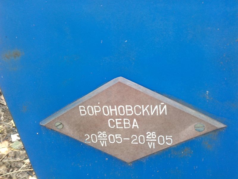 Сева Вороновский