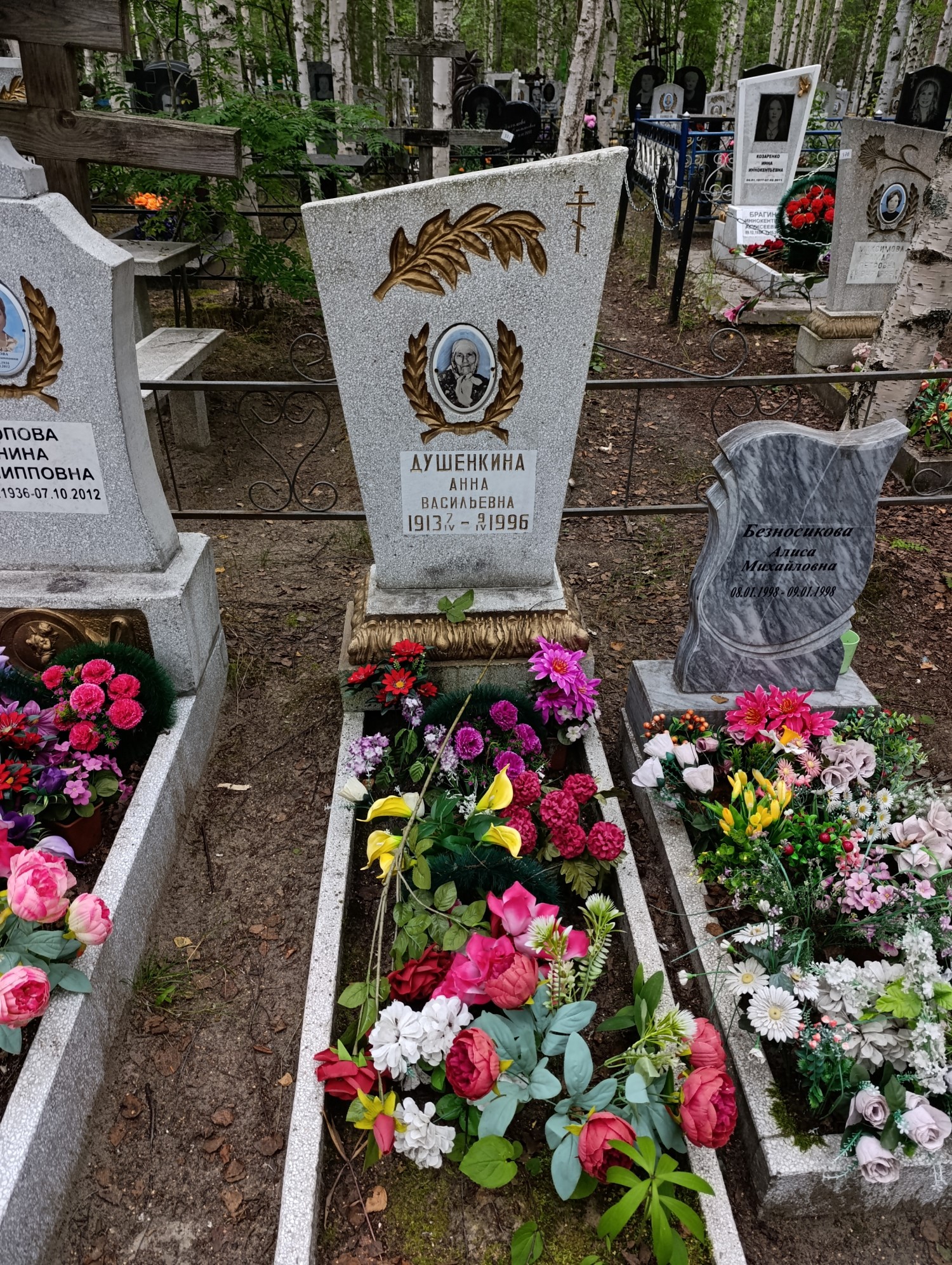 Душенкина Анна Васильевна