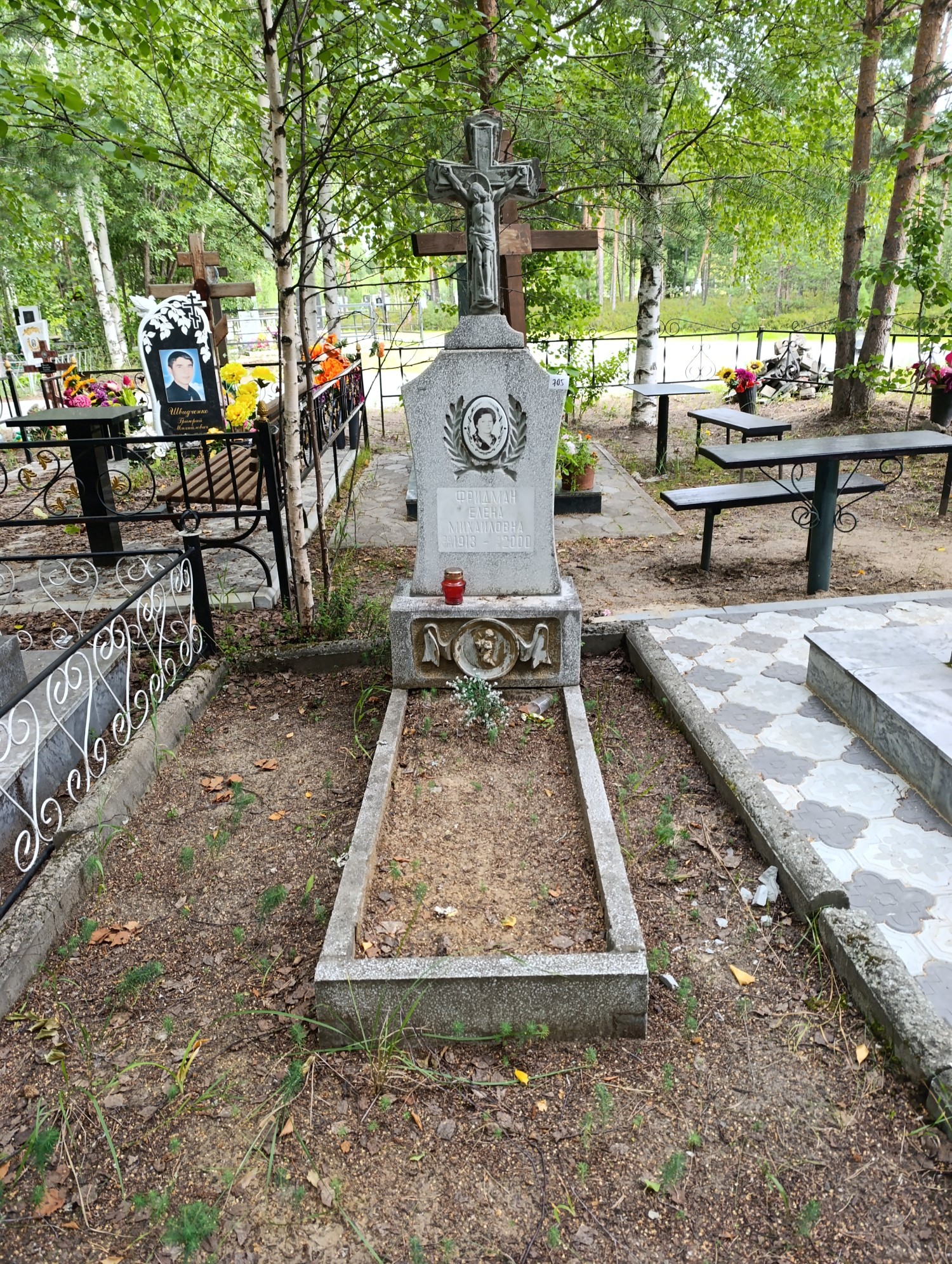 Фридман Елена Михайловна
