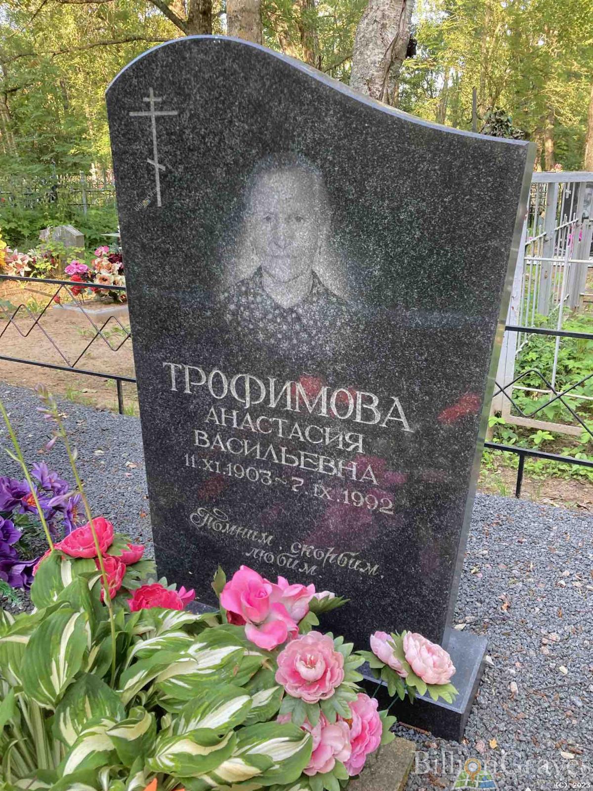 Трофимова Анастасия Василевна
