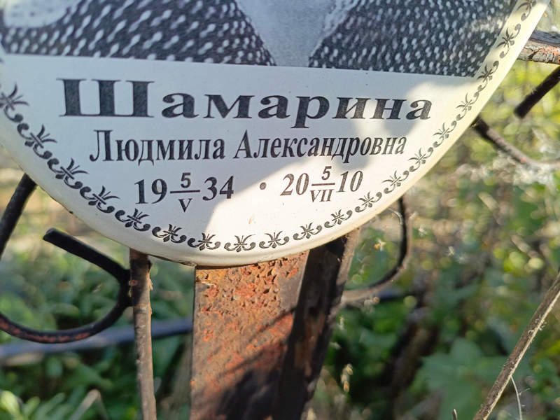 Шамарина
