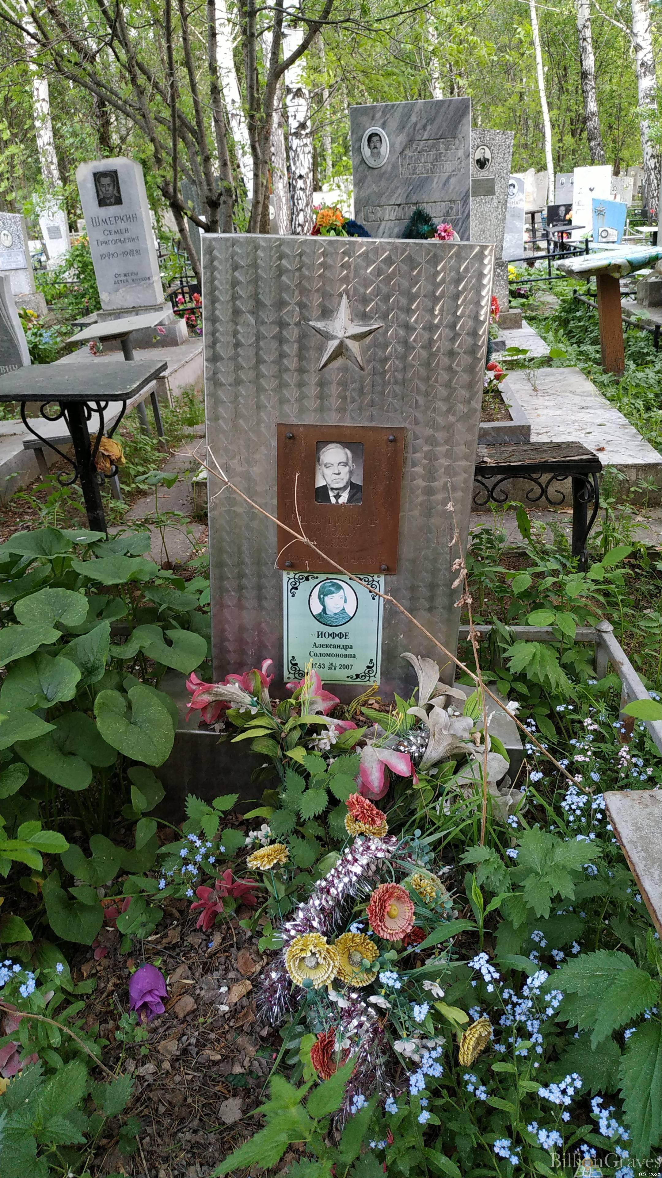 Иоффе Александра Соломоновна