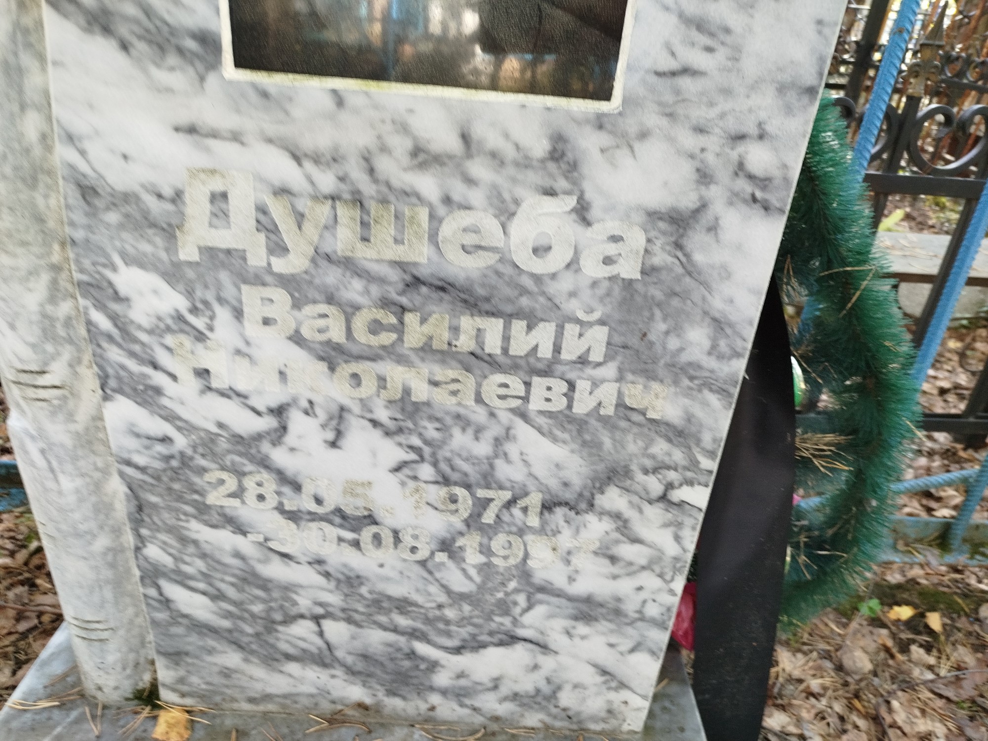 Душеба Василий Николаевич