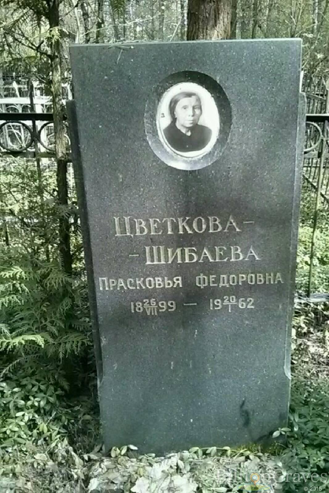 Цветкова-Шибаева Прасковья Фёдоровна
