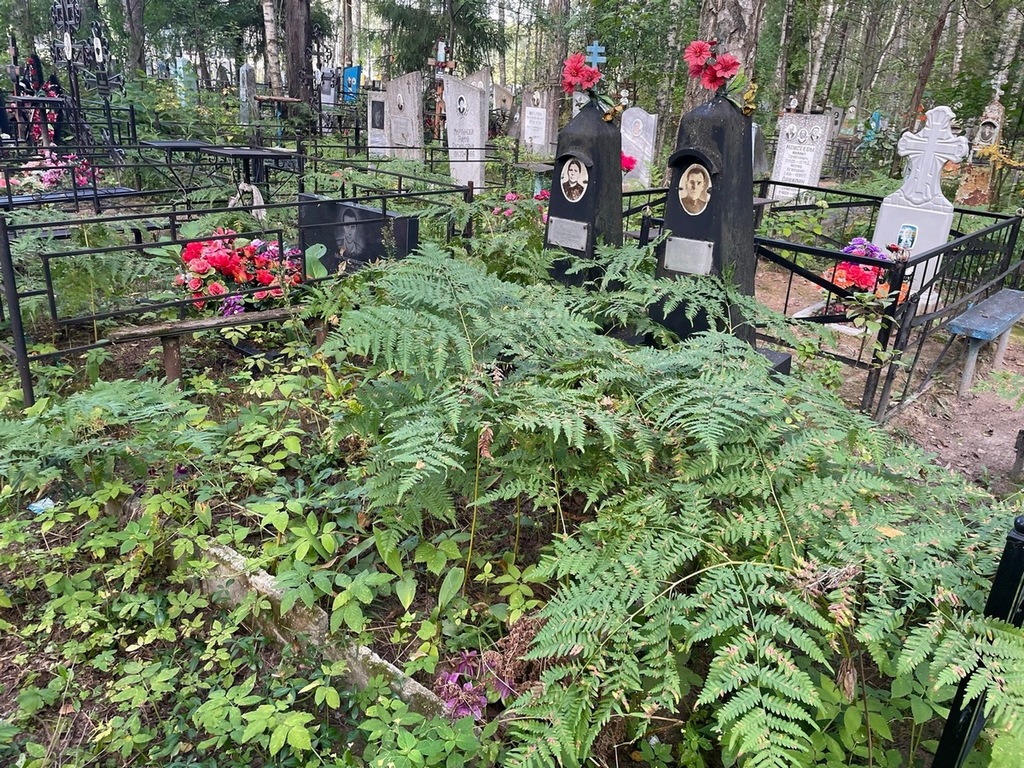 Коньков Димитрий Иванович
