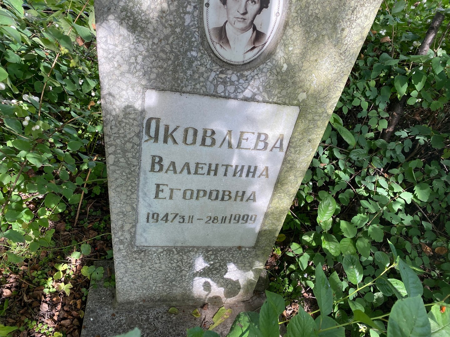 Яковлева