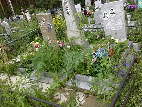 Птухина Ольга Алексеевна