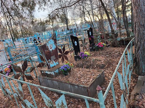Григорьев Геннадий Николаевич