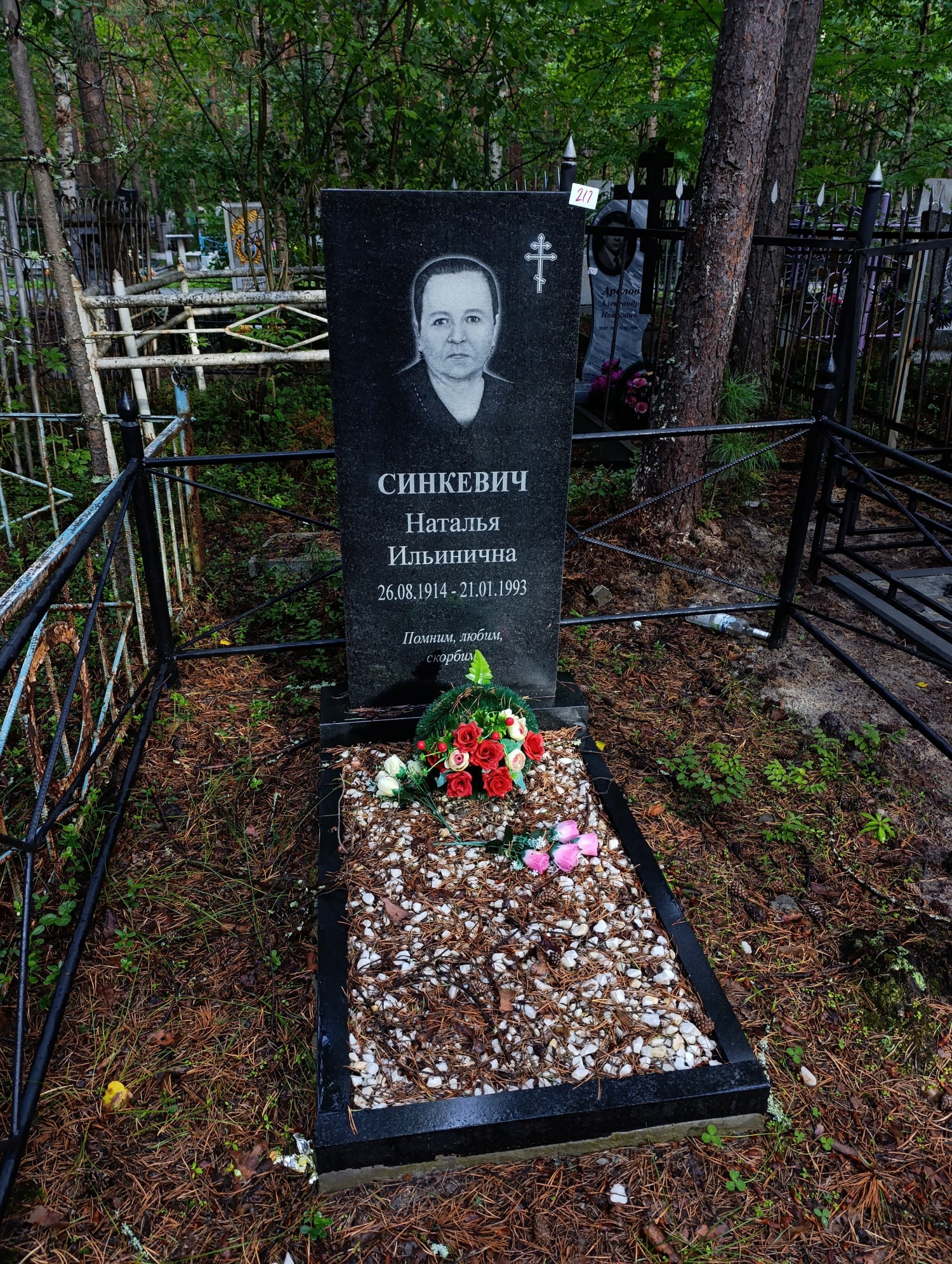 Синкевич Наталья Ильинична
