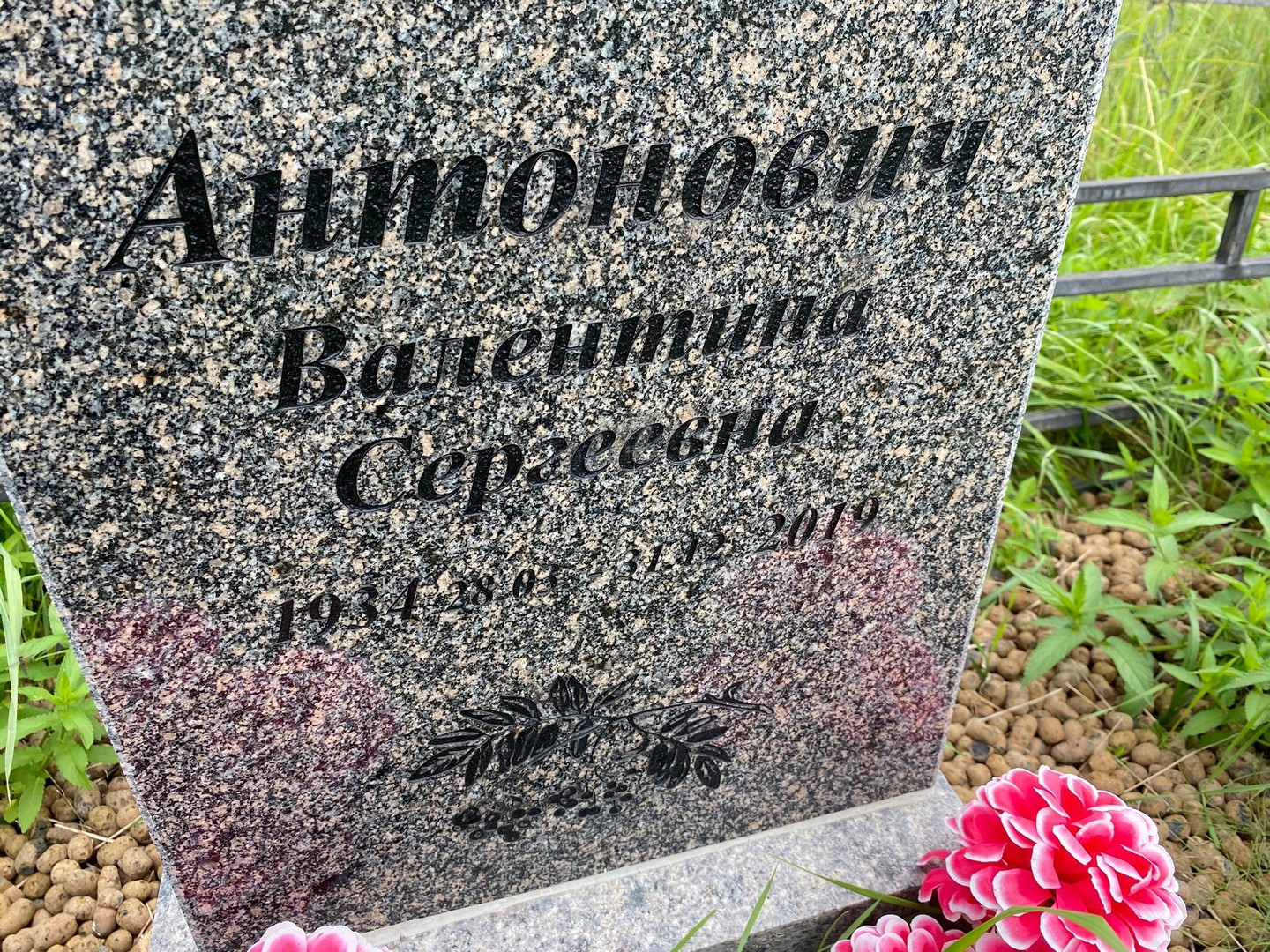 Антонович