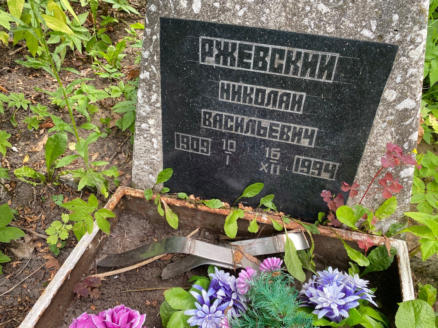 Ржевский