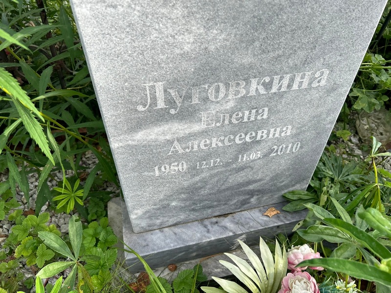 Луговкина