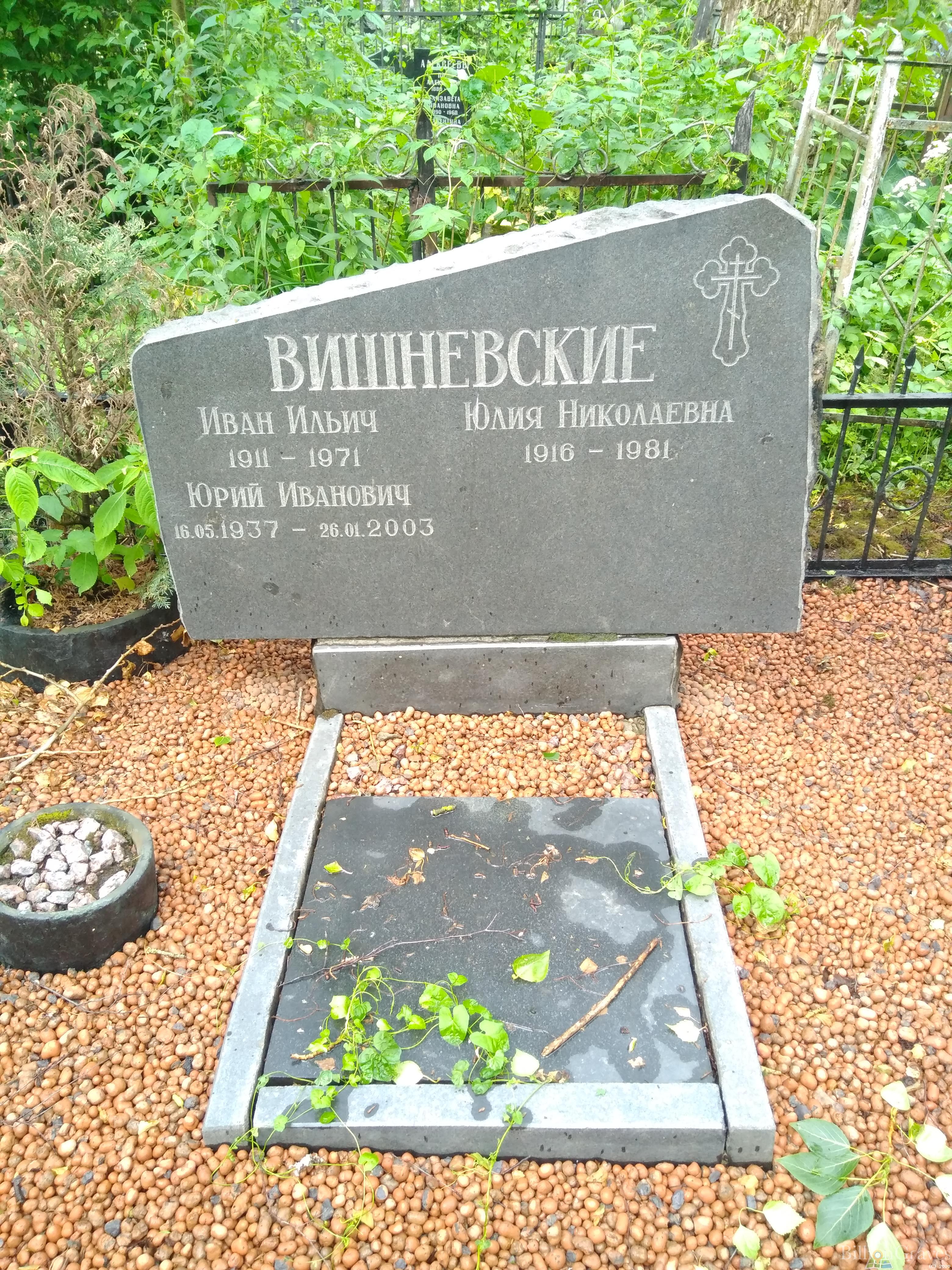 Вишневский Юрий Иванович