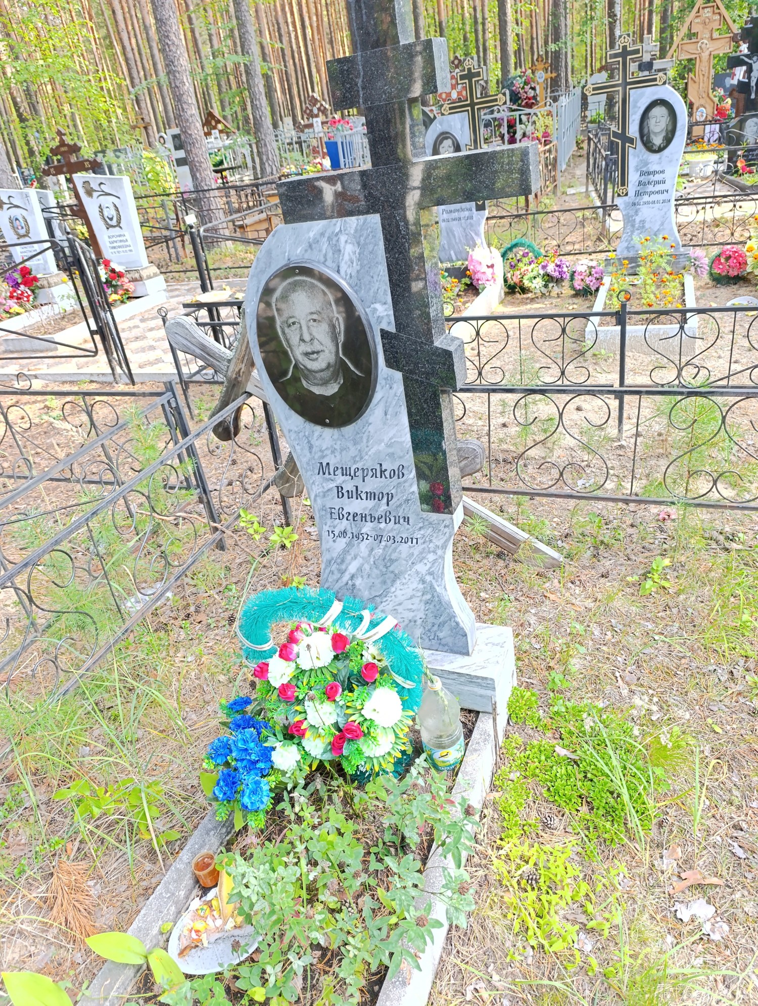 Мещеряков Виктор Евгеньевич
