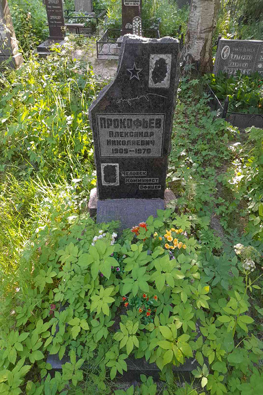 Прокофьева Галина Георгиевна