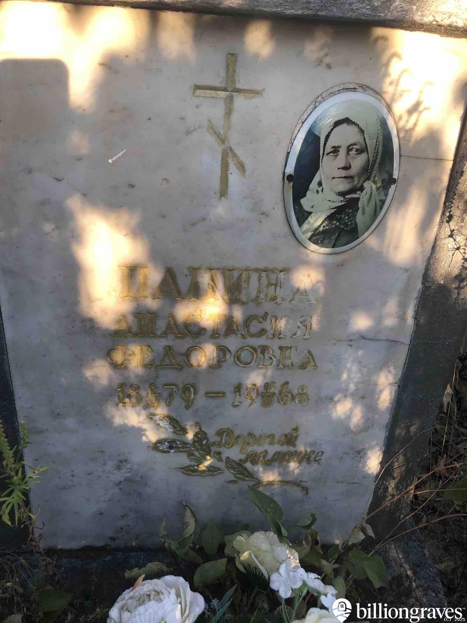 Панина Анастасия Федоровна