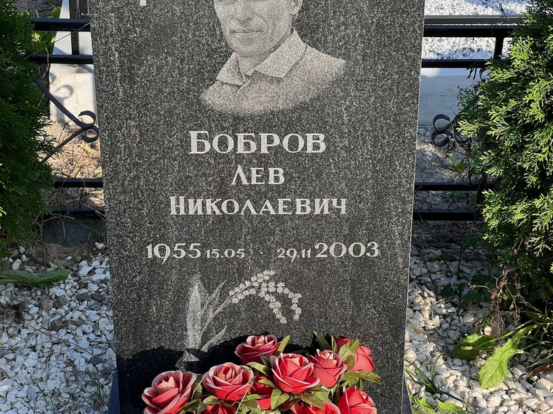 Лев Бобров Николаевич