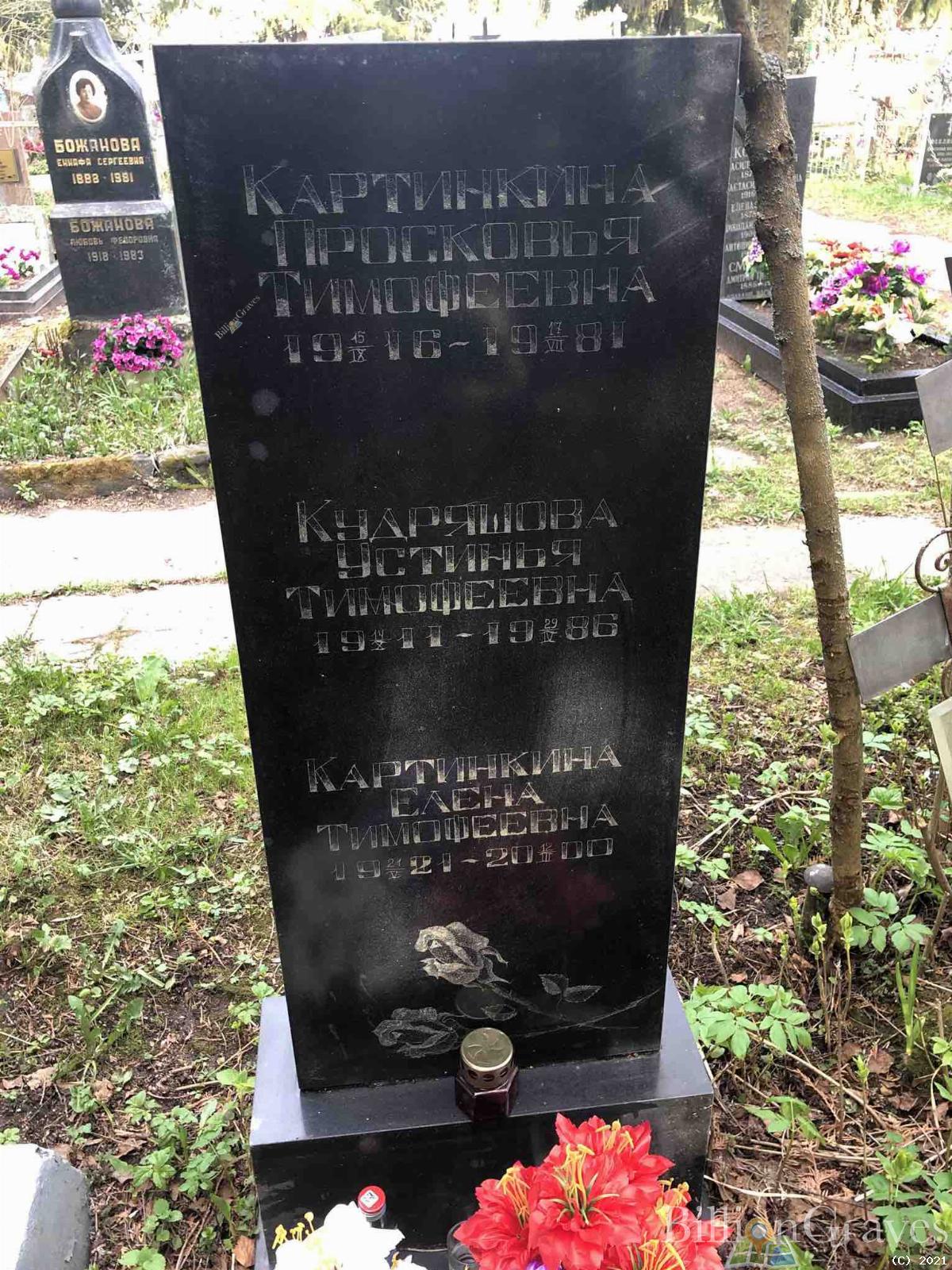 Картинкина Елена Тимофеевна