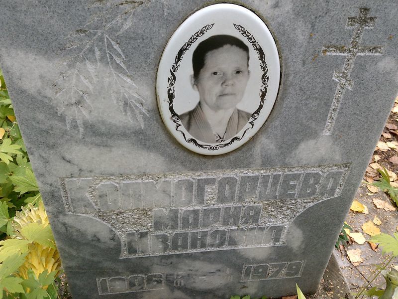 Колмогорцева