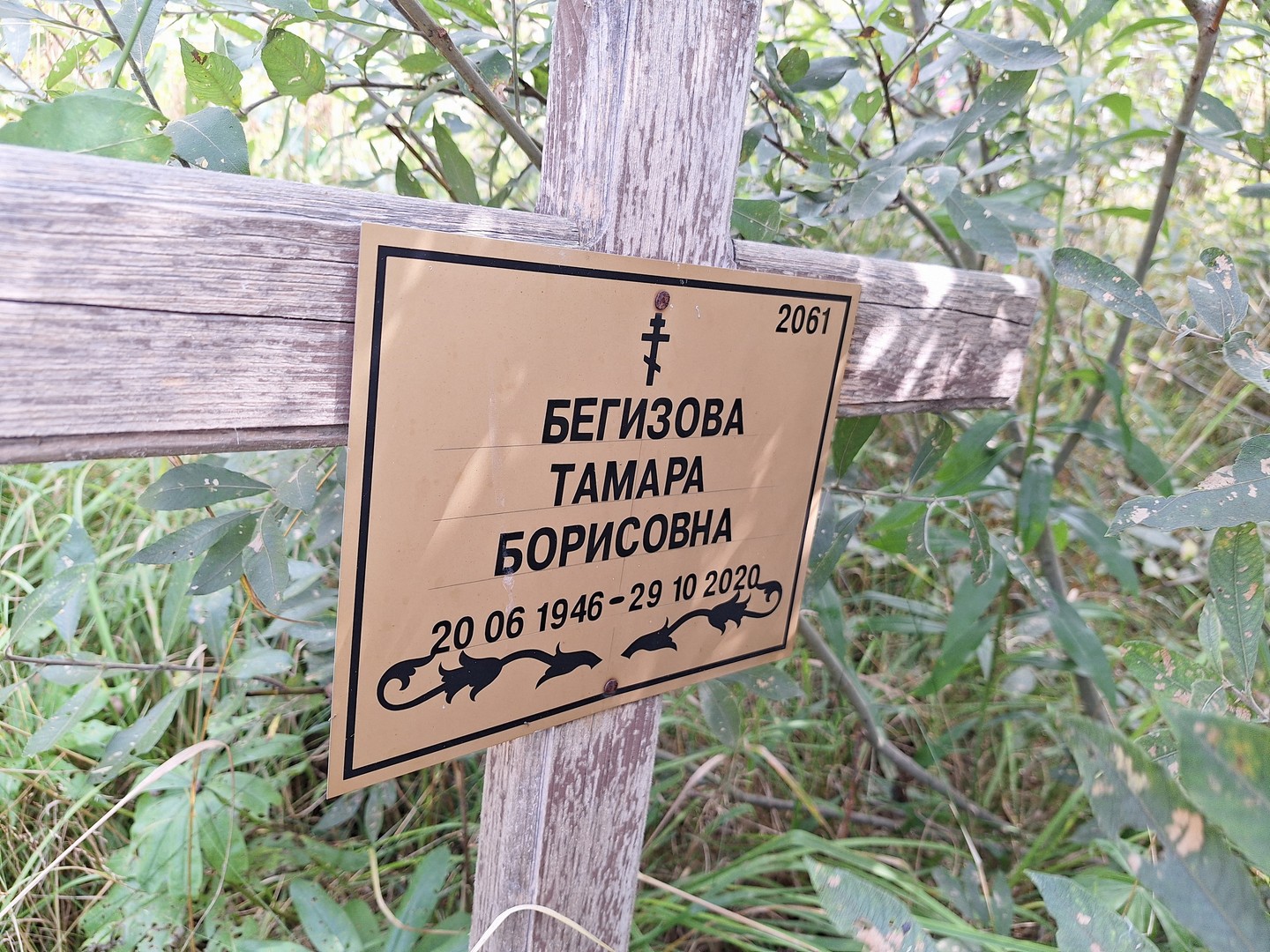 Бегизова