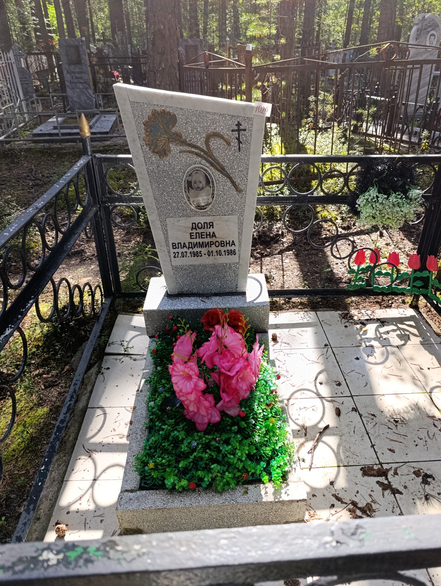 Доля Елена Владимировна