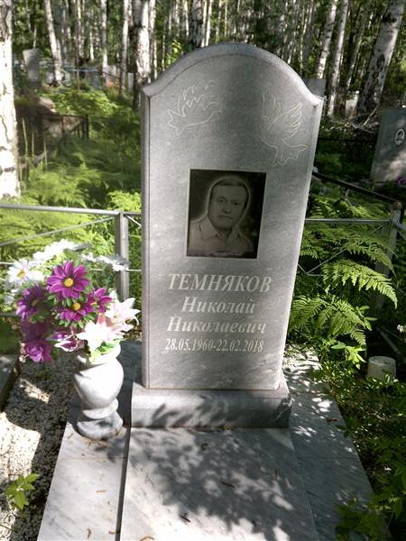 Темников Николай Николаевич