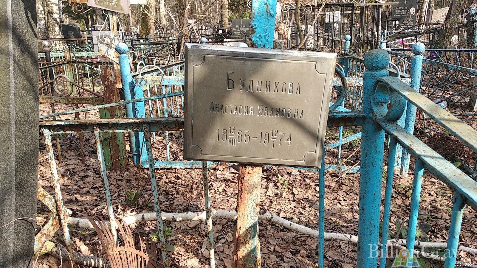 Будникова Анастасия Ивановна