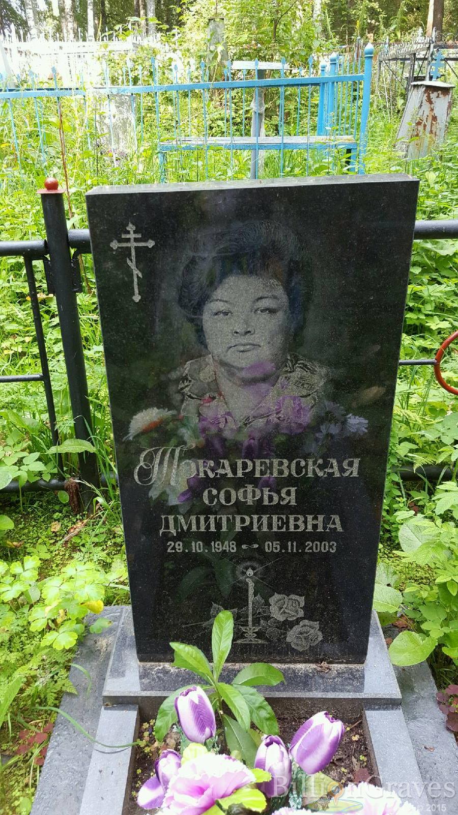 Токаревкая Софья Дмитриевна
