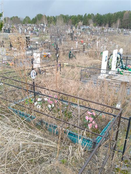 Полонская Надежда Георгиевна