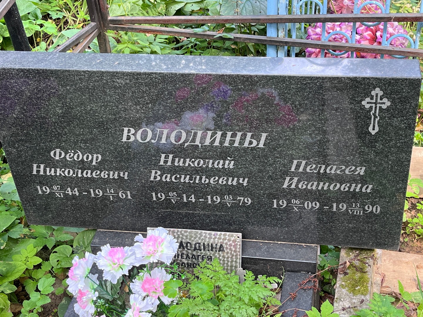 Володин