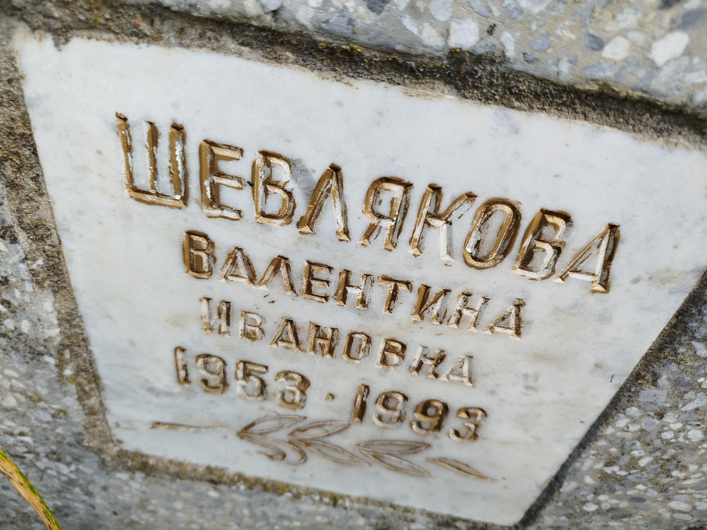 Шевлякова