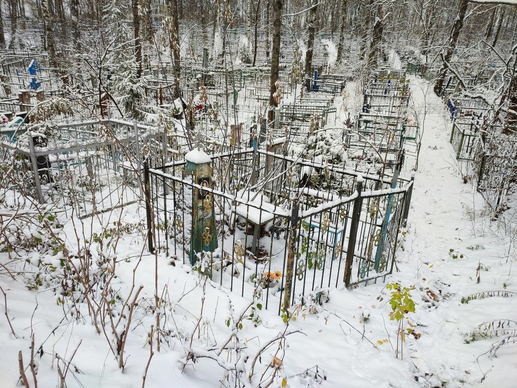 Князева Елена