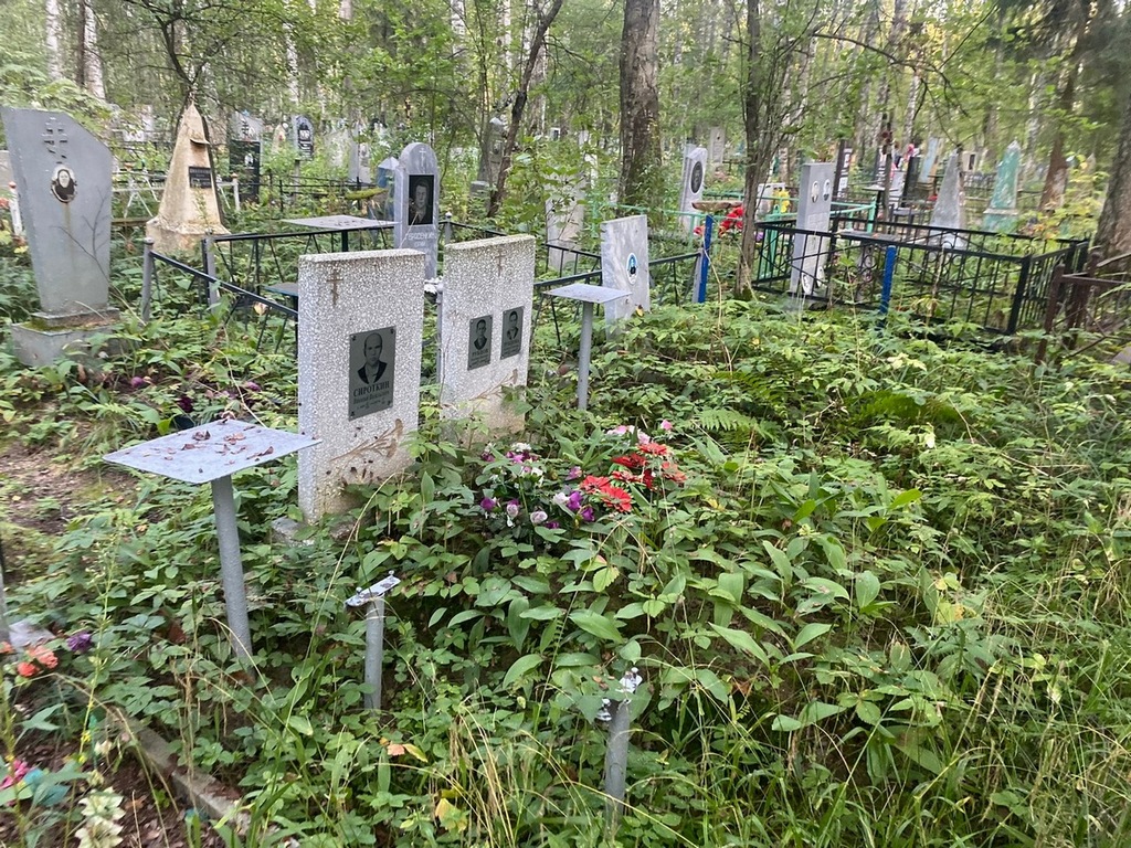 Сироткин Николай Васильевич
