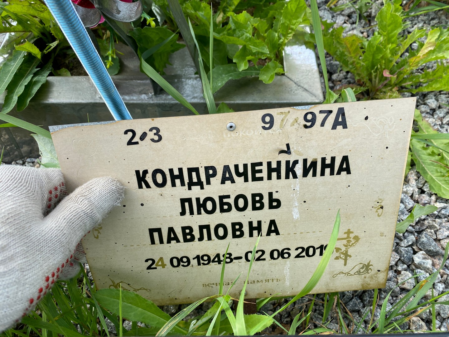 Кондраченкина