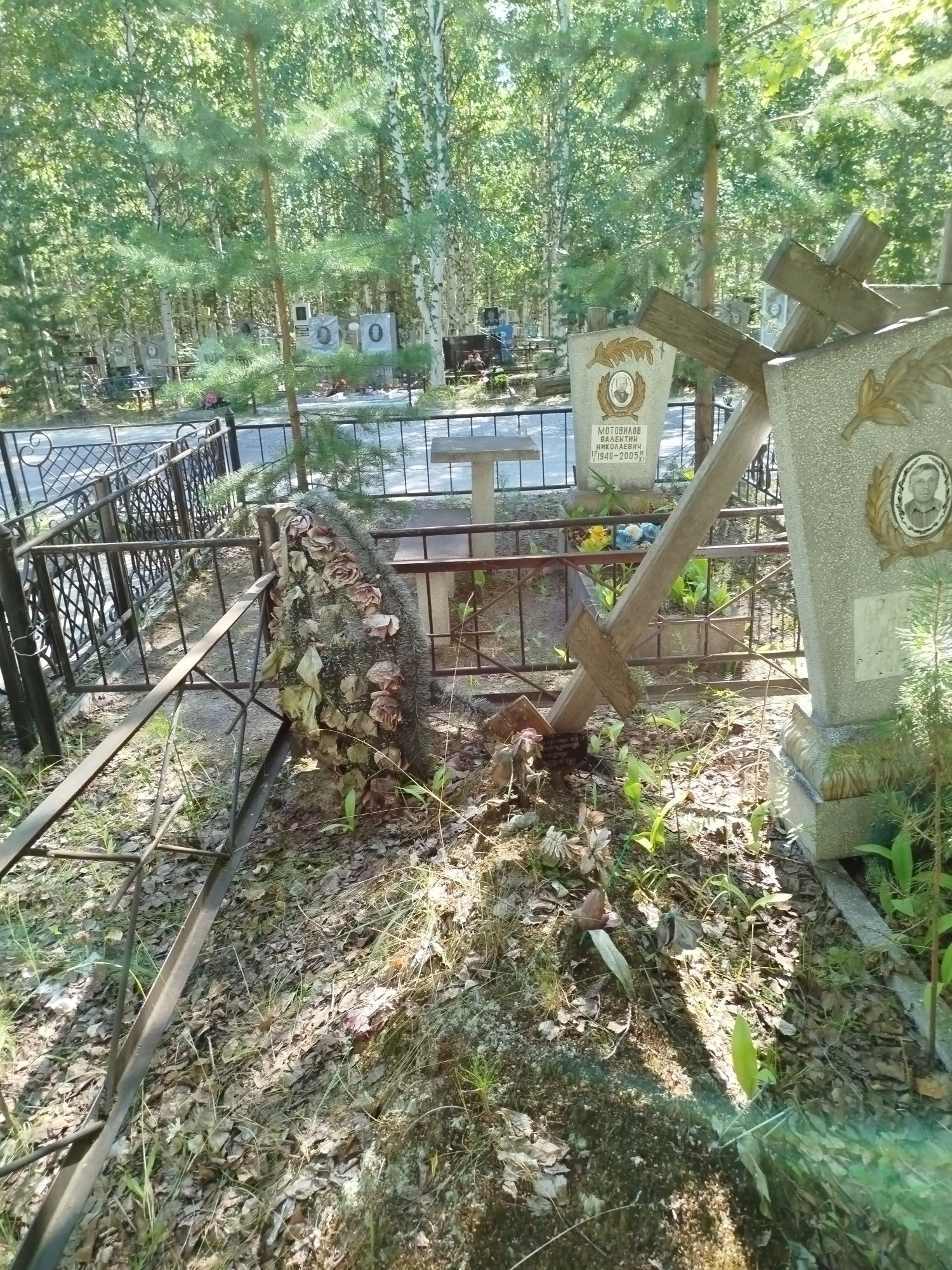 Аржевитина Людмила Владимировна