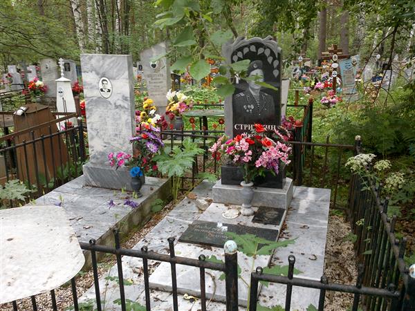 Стрижкин Александр Петрович
