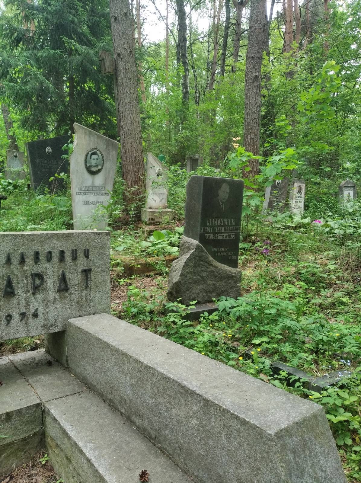 Частушкин Константин Иванович