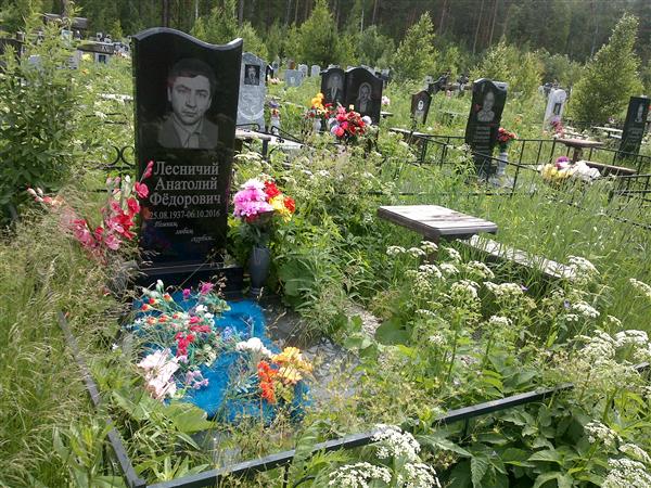 Лесничий Анатолий Федорович