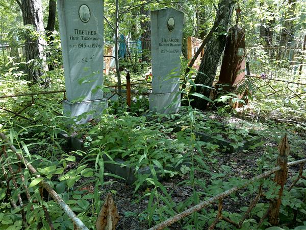 Плетнев Петр Тихонович