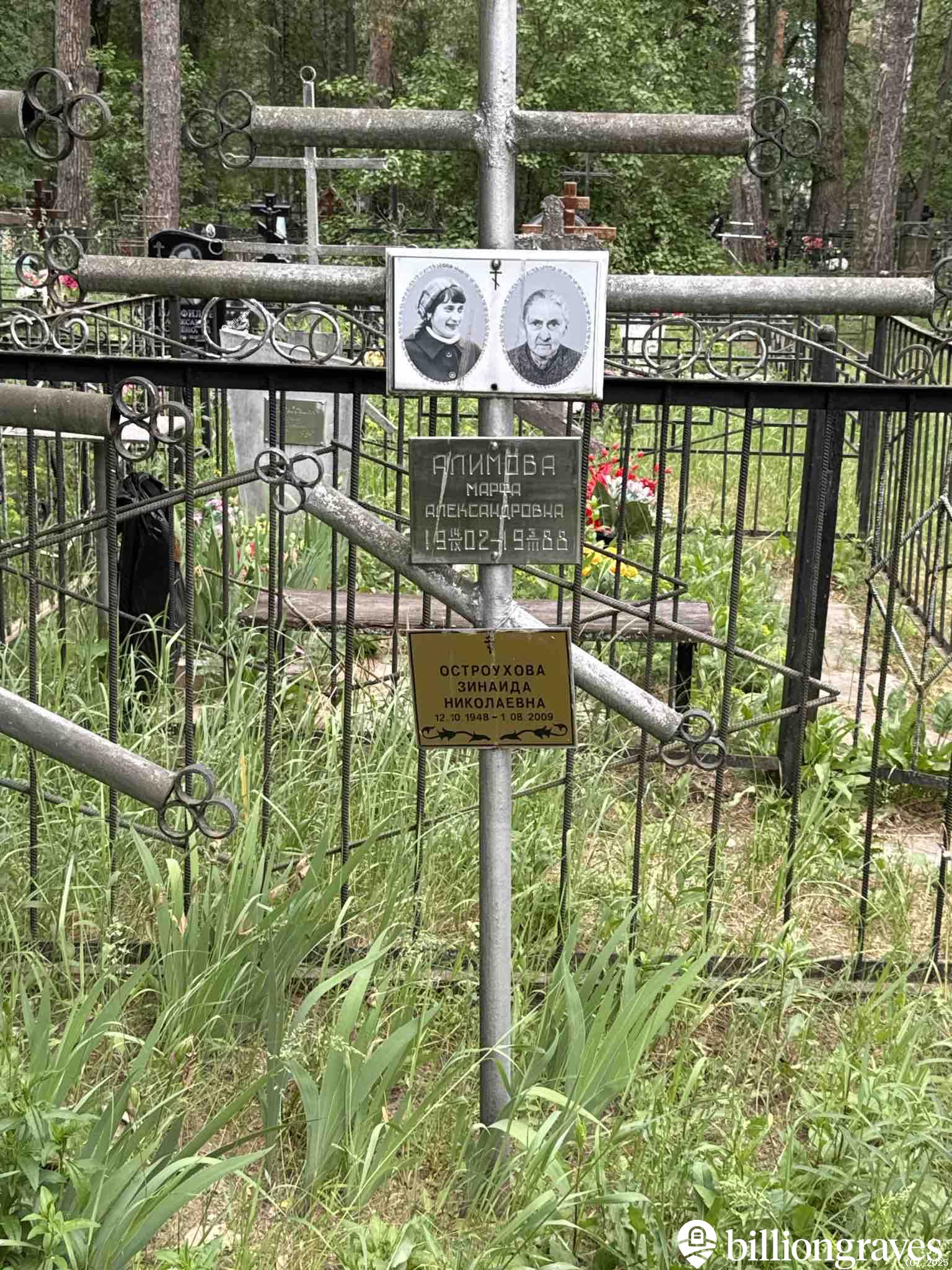 Остроухова Зинаида Николаевна