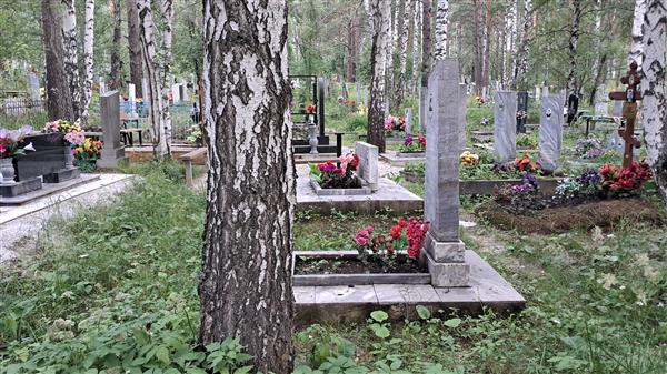 Плешков Владимир Федорович