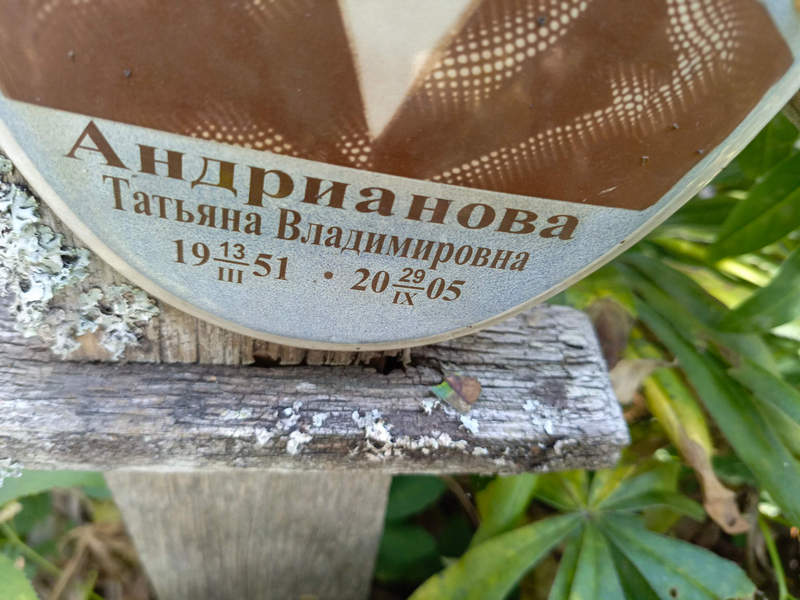 Андрианова